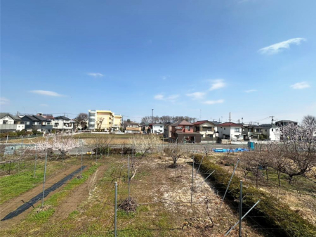 ���̑� �o���R�j�[����̒��]�ł�