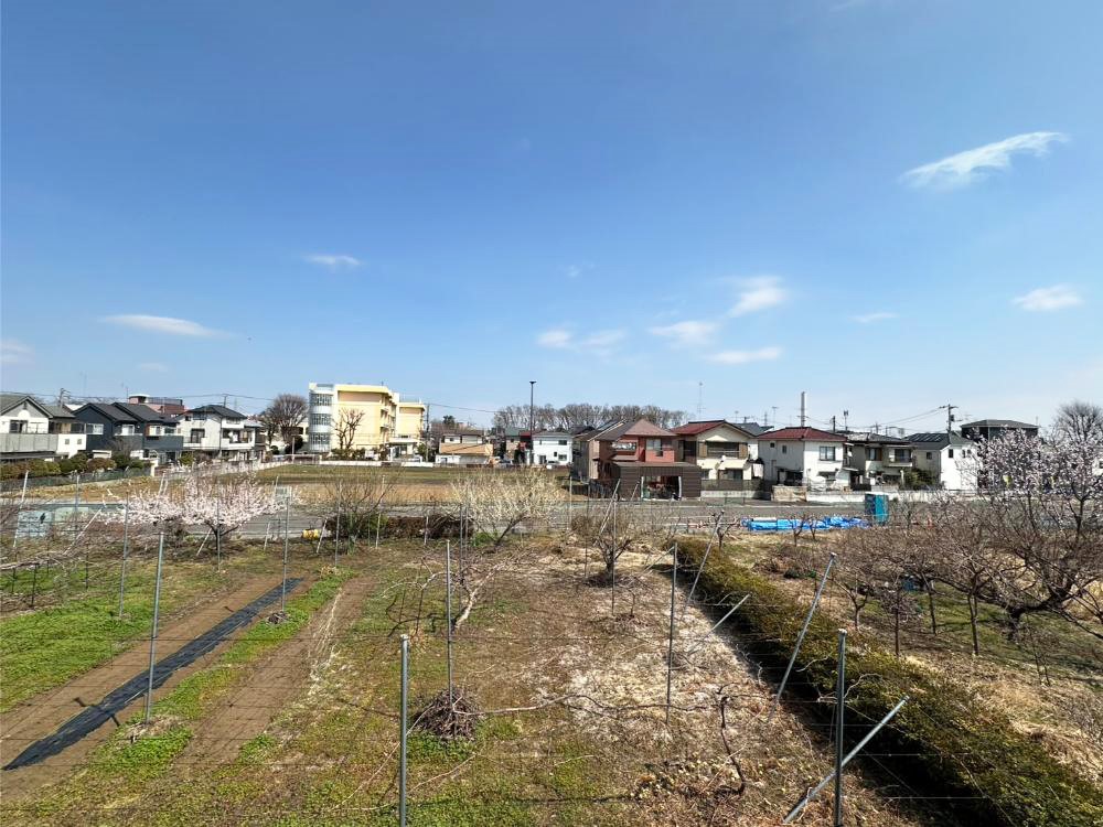 ���̑� �o���R�j�[����̒��]�ł�