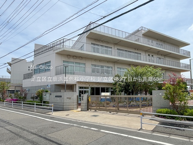 ���ӊ� ���w�Z 60m �����旧���l�ܐF�����w�Z