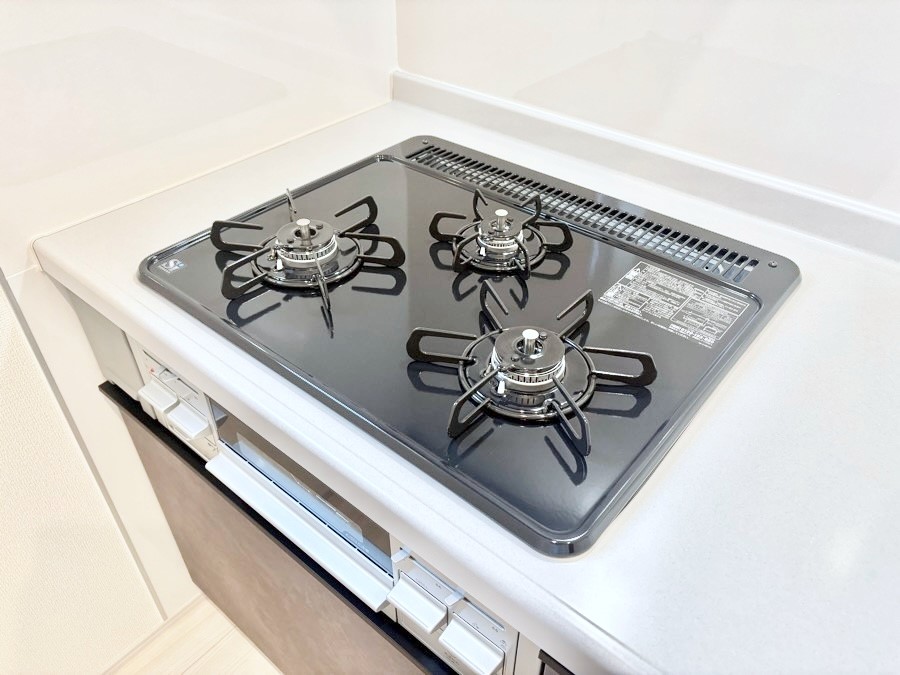 ���̑����� �K�X�R�����͂r���Z���T�[���ځB�Η͒��߂�ł��t���E�����Y����h���ł���܂��B